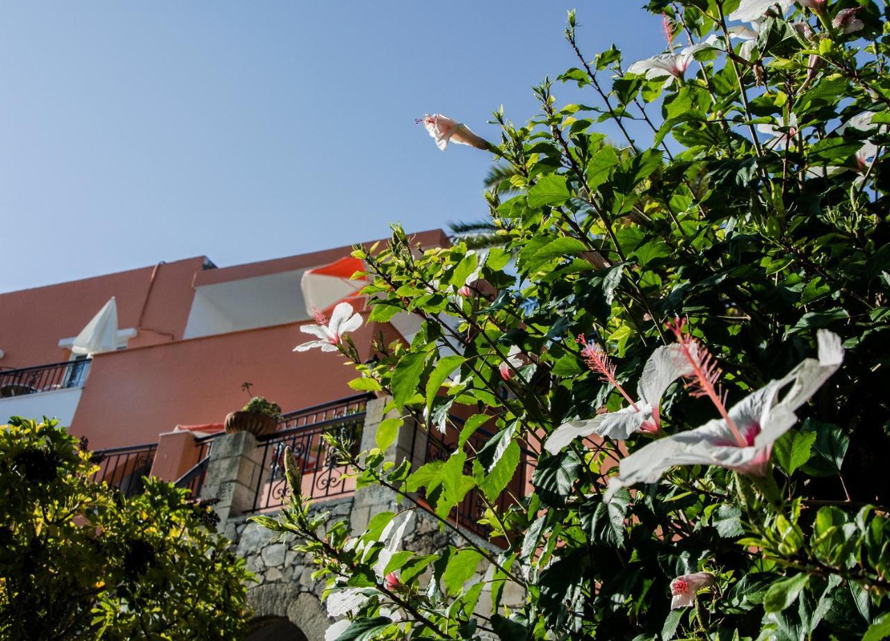 Aparthotel Alkion Exopoli Zewnętrze zdjęcie